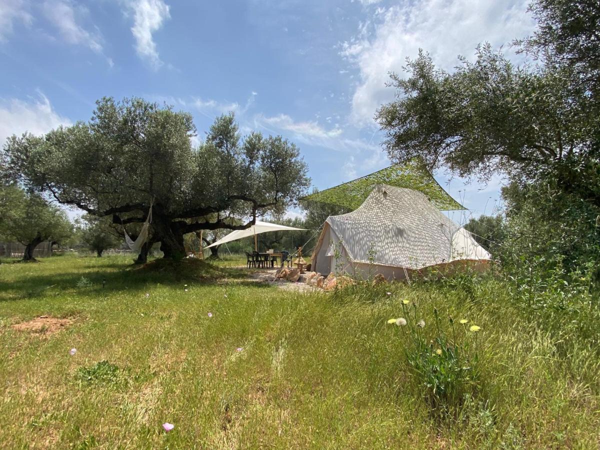 Paraiso Bell Tent Tortosa Exterior foto